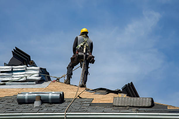 Professional Roofing technician working in Muscatine, IA
